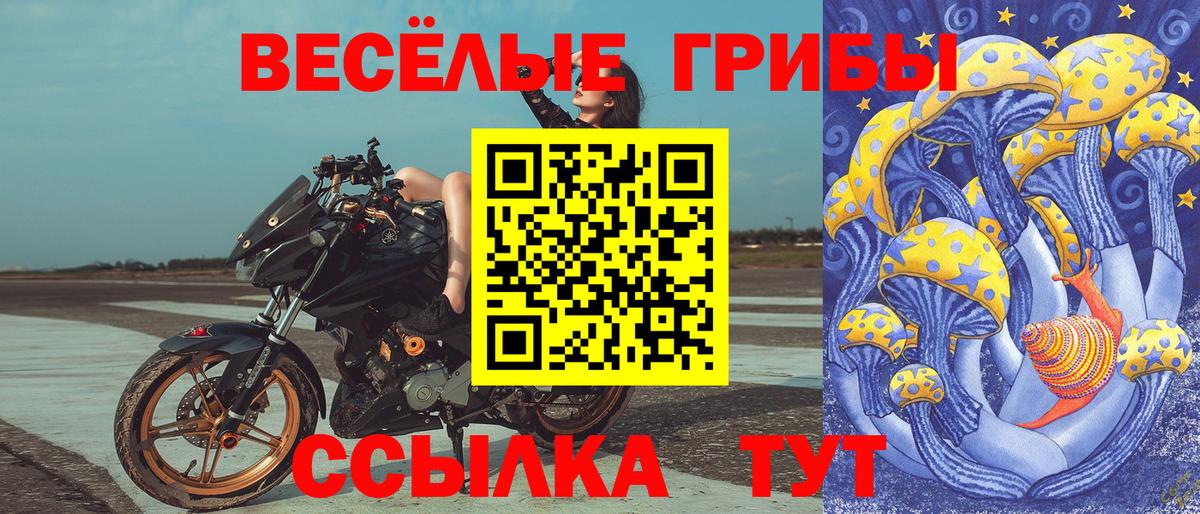 Псилоцибиновые грибы Magic Shrooms  Вход с VPN  Омск  купить наркотики цена  Псилоцибиновые грибы мухоморы 